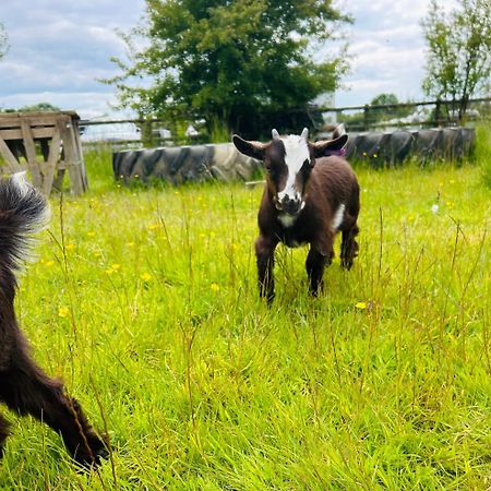Valley Farm Bells Oxford Bagian luar foto
