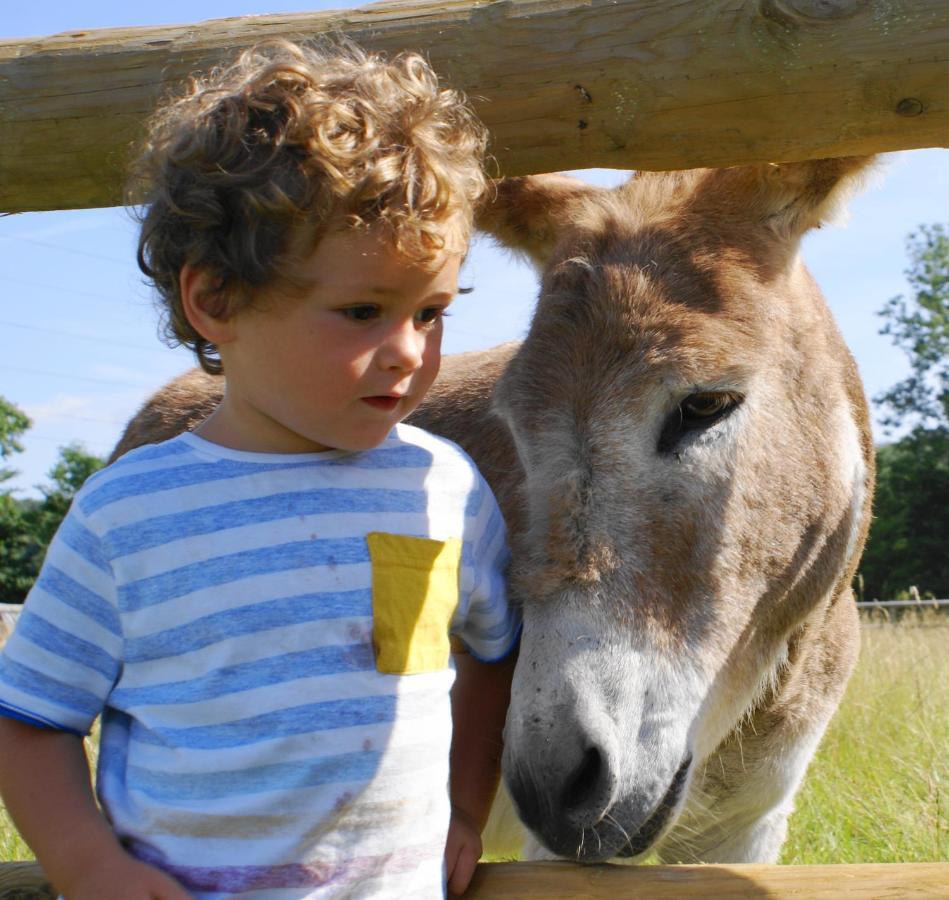 Valley Farm Bells Oxford Bagian luar foto