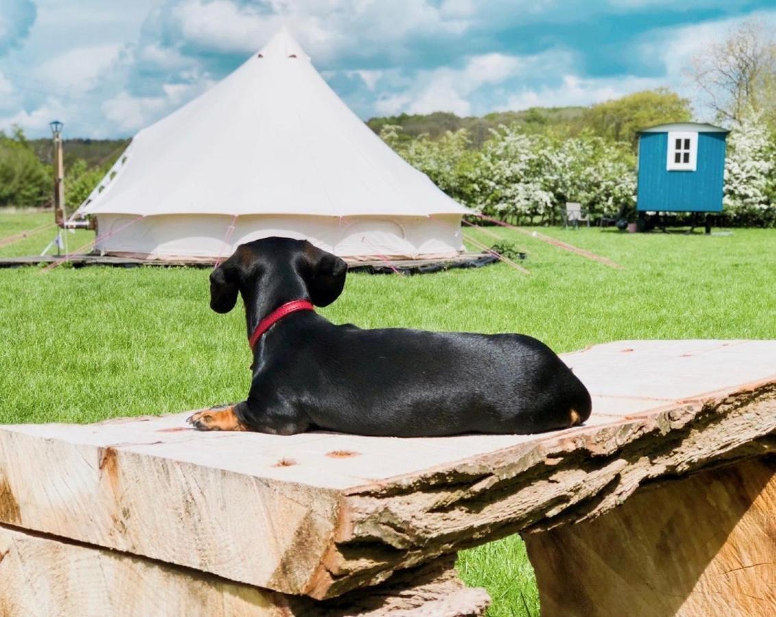 Valley Farm Bells Oxford Bagian luar foto